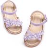 Dt05 Purple