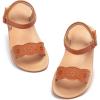 Dt10 Brown
