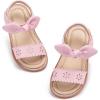 Dt11 Pink