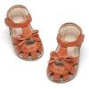 Dt14 Brown