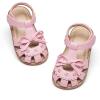 Dt14 Pink
